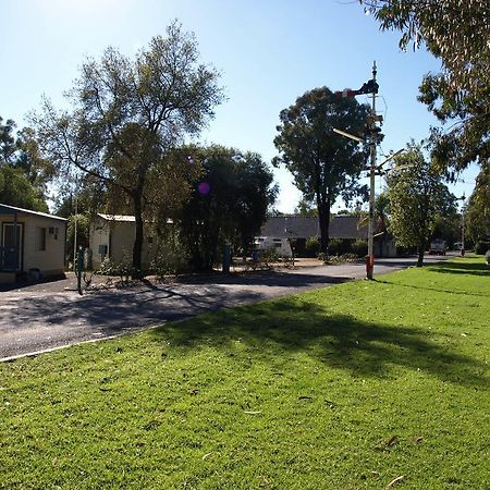Cowra Holiday Park المظهر الخارجي الصورة